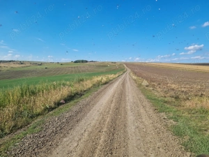 Vand terenuri arabile zona Siliscani, comuna Gorbanesti