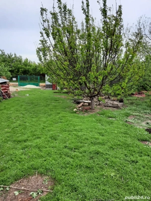 casa de vânzare  - imagine 10 casa de vânzare  - imagine 10