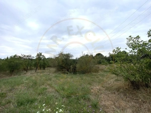 Teren intravilan 1.765 mp in Poiana Lacului, AG - imagine 3