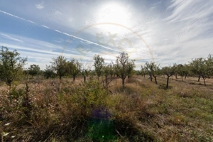 Teren 2.847 mp in comuna Cuca, AG