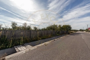 Teren 2.847 mp in comuna Cuca, AG - imagine 2