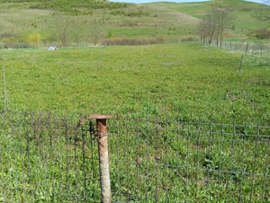 Vind teren pentru cabana sau casa in Suatu (zona Bodoresti ),langa sosea ,in suprafata de 0,21ha !  - imagine 4