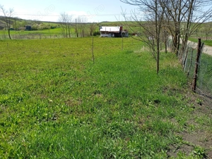 Vind teren pentru cabana sau casa in Suatu (zona Bodoresti ),langa sosea ,in suprafata de 0,21ha !  - imagine 2
