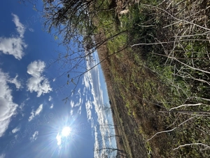 Teren de vânzare în Preutesti