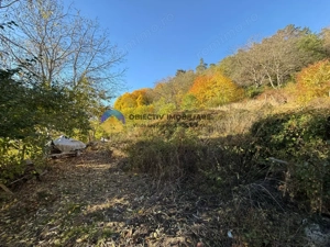 Teren intravilan 1543 mp – zona Dărmănești