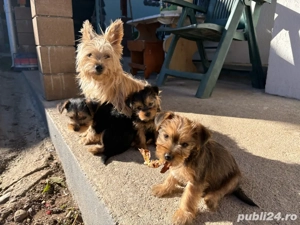 cadoul perfect pentru copii de  craciun - imagine 2 cadoul perfect pentru copii de  craciun - imagine 2