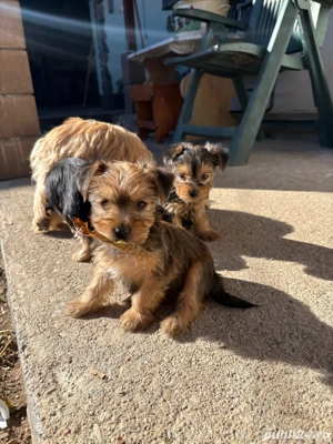 cadoul perfect pentru copii de  craciun - imagine 3 cadoul perfect pentru copii de  craciun - imagine 3