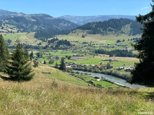 teren la munte langa Vatra Dornei