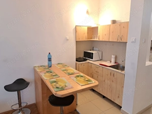 Apartament Piata Unirii,liber