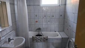 Vila + Afacere in Tomnatic - imagine 5