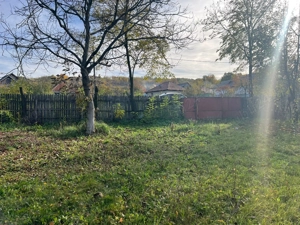 vand casa in Berbesti. - imagine 3