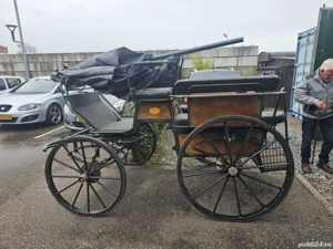 De Vinzare Trasura - imagine 4 De Vinzare Trasura - imagine 4