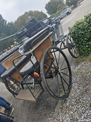 De Vinzare Trasura - imagine 5 De Vinzare Trasura - imagine 5