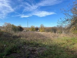 vand casa in Berbesti. - imagine 7