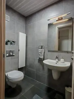 Apartament cu 2 camere de inchiriat zona Sagului - imagine 2 Apartament cu 2 camere de inchiriat zona Sagului - imagine 2