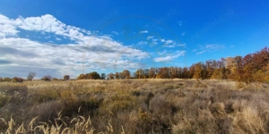 Terenuri intrevilane Comuna Mosoaia - imagine 3