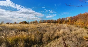 Terenuri intrevilane Comuna Mosoaia - imagine 2