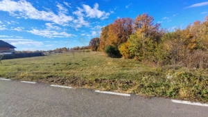 Terenuri intrevilane Comuna Mosoaia - imagine 9