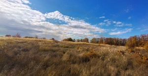 Terenuri intrevilane Comuna Mosoaia - imagine 4