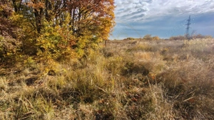 Terenuri intrevilane Comuna Mosoaia - imagine 5