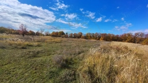 Terenuri intrevilane Comuna Mosoaia - imagine 7