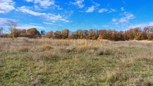 Terenuri intrevilane Comuna Mosoaia - imagine 6