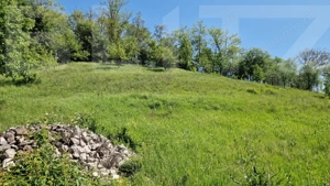 Casă de Familie | 175 mp + Curte 3166 mp | Tătărăști, Burjuc | COMISION 0% - imagine 13