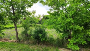 Casa de vanzare la Sannicolau Mare - imagine 5