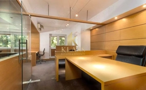 Apartament 5 camere- ultracentral, amenajat pentru birou, zona - Unirii Fantani - imagine 5 Apartament 5 camere- ultracentral, amenajat pentru birou, zona - Unirii Fantani - imagine 5