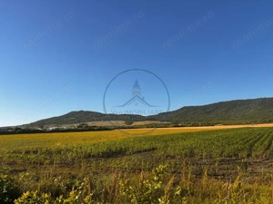 Teren Intravilan 5100 mp Sieu Magherus - imagine 2