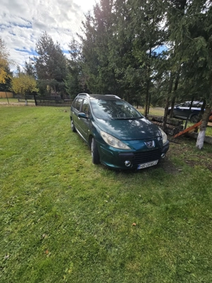 Vand Peugeot 307 swi