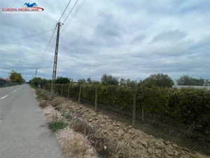 Teren de vanzare in localitatea Iazurile judetul Tulcea - imagine 10