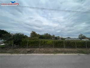 Teren de vanzare in localitatea Iazurile judetul Tulcea - imagine 3