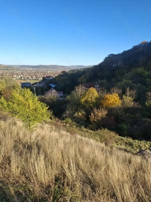 Teren intravilan - Micesti