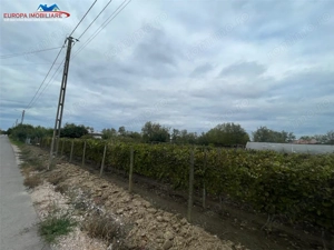 Teren de vanzare in localitatea Iazurile judetul Tulcea - imagine 11