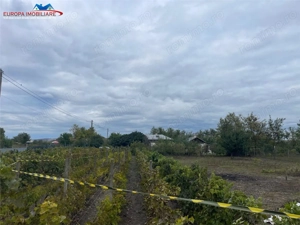 Teren de vanzare in localitatea Iazurile judetul Tulcea - imagine 8