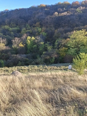 Teren intravilan - Micesti - imagine 3