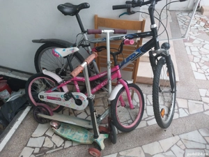 biciclete si trotinete