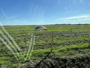 Teren Intravilan 35 euro m2 în Dezvoltare Accelerată, Str. Tuberozelor, Domnești - imagine 7