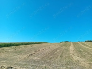 Teren agricol extravilan de vanzare in satul Tarpesti, jud. Neamt