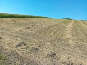 Teren agricol extravilan de vanzare in satul Tarpesti, jud. Neamt - imagine 2