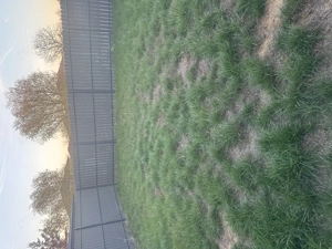 Duplex 3 Camere Centrală Proprie La Prima Inchiriere Zona Braytim  - imagine 11