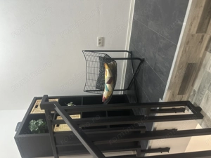 Duplex 3 Camere Centrală Proprie La Prima Inchiriere Zona Braytim  - imagine 5