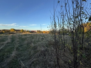 Teren Intravilan in Zona Semicentrala, Becicherecu Mic,2118 mp,Fs. 18m - imagine 3