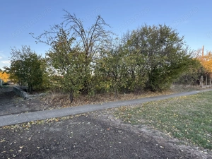 Teren Intravilan in Zona Semicentrala, Becicherecu Mic,2118 mp,Fs. 18m - imagine 2