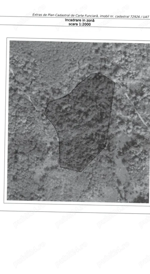 Pășune împădurită