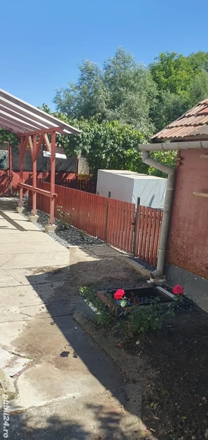 Casă renovată +teren în Cisnădie  - imagine 5