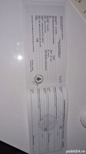 Asia centrala cu certificat de origine sau schimb pe oi - imagine 5 Asia centrala cu certificat de origine sau schimb pe oi - imagine 5