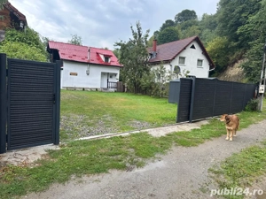 Casa de vacanta Rau Sadului  - imagine 5