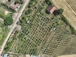 Loc de casa  Teren intravilan de vanzare cu livada - Buteni, jud.Arad - imagine 2